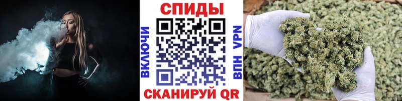 Бутират буратино Иваново